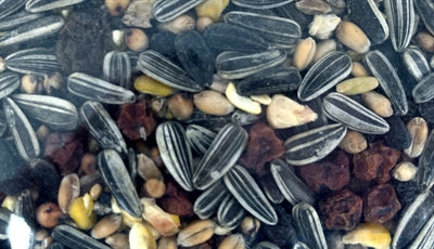 Load image into Gallery viewer, Utopia Strooivoer met bessen