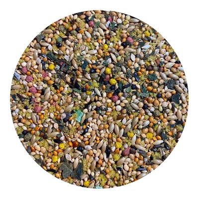 Load image into Gallery viewer, Utopia Tropische vogels top quality