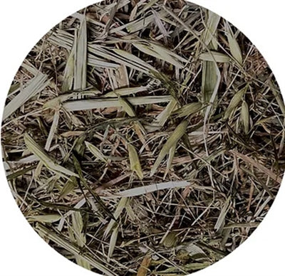 Load image into Gallery viewer, Utopia Timothy hooi met groene haver