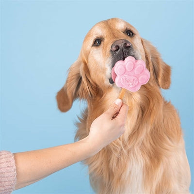 Load image into Gallery viewer, Smoofl ijsmix voor honden aardbei