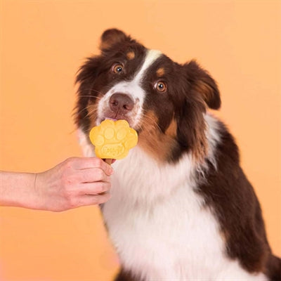 Load image into Gallery viewer, Smoofl Smoofl ijsmix voor honden mango