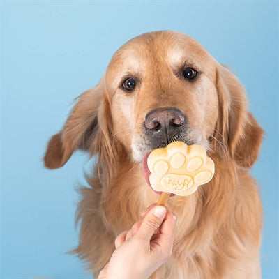 Load image into Gallery viewer, Smoofl ijsmix voor honden pindakaas