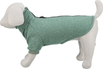 Laden Sie das Bild in Galerie -Viewer, Trixie Citystyle hondentrui sweatshirt amsterdam donkergroen