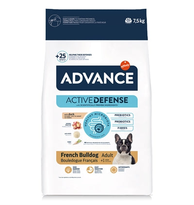 Load image into Gallery viewer, Advance Adult french bulldog