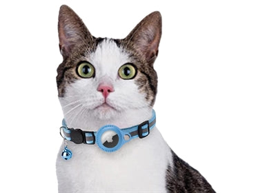 Load image into Gallery viewer, Croci Halsband kat met tag houder lichtblauw