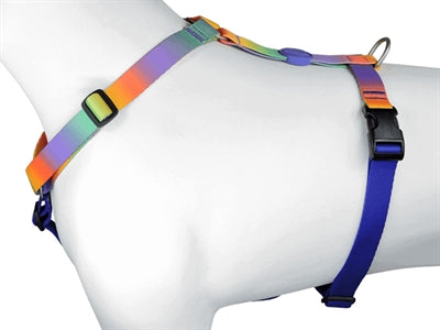 Load image into Gallery viewer, Morso hondentuig h-tuig gerecycled spring blossom