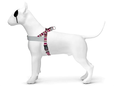 Load image into Gallery viewer, Morso norwegian hondentuig gerecycled skyline rood roze