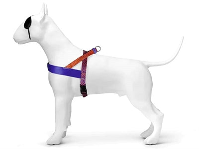 Load image into Gallery viewer, Morso norwegian hondentuig gerecycled urban lizard rood