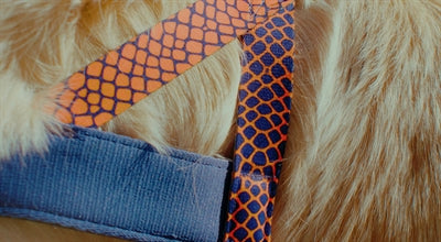 Load image into Gallery viewer, Morso norwegian hondentuig gerecycled urban lizard rood