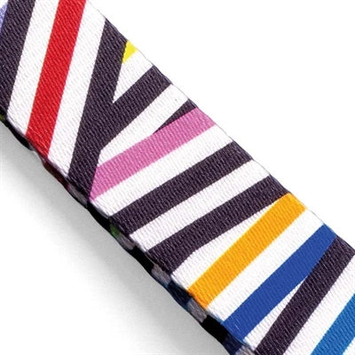 Load image into Gallery viewer, Morso hondenriem gerecycled spaghetti incident