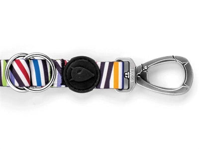 Load image into Gallery viewer, Morso hondenriem verstelbaar gerecycled spaghetti incident