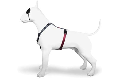 Load image into Gallery viewer, Morso hondentuig h-tuig gerecycled power flow zwart