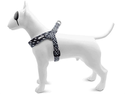 Load image into Gallery viewer, Morso mini hondentuig verstelbaar gerecycled power flow zwart