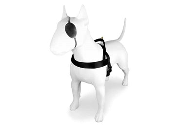 Load image into Gallery viewer, Morso norwegian hondentuig gerecycled gold caviar goud