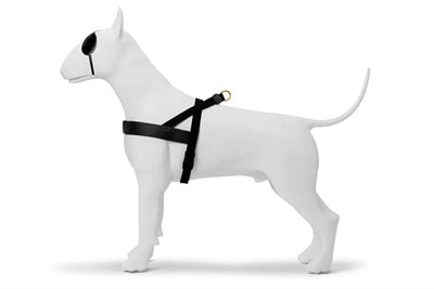 Load image into Gallery viewer, Morso norwegian hondentuig gerecycled gold caviar goud