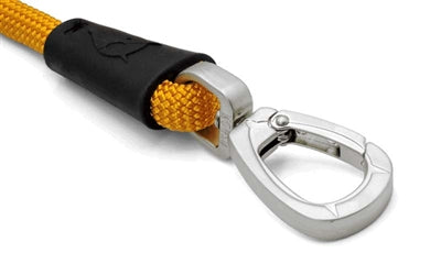 Load image into Gallery viewer, Morso hondenriem regular rope gerecycled gold goud
