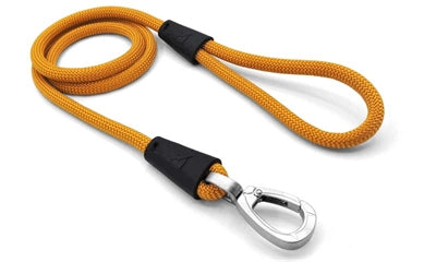 Load image into Gallery viewer, Morso hondenriem regular rope gerecycled gold goud