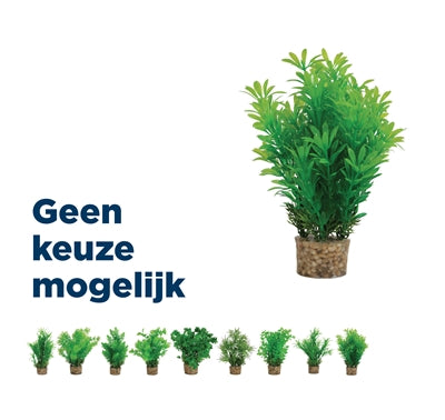 Load image into Gallery viewer, Zolux Ornament pastic plant op stenen neutraal assorti