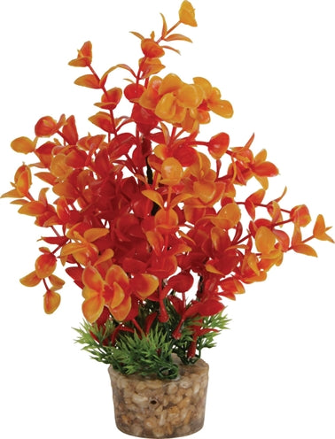 Load image into Gallery viewer, Zolux Ornament pastic plant op stenen vrolijk assorti