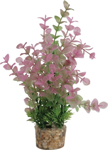 Load image into Gallery viewer, Zolux Ornament pastic plant op stenen vrolijk assorti