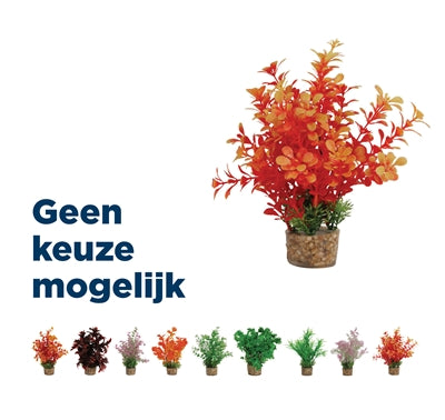 Load image into Gallery viewer, Zolux Ornament pastic plant op stenen vrolijk assorti