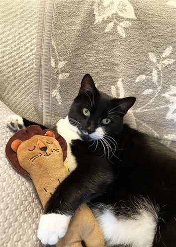 Load image into Gallery viewer, Rosewood Kicker leeuw eco friendly gerecycled