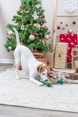 Load image into Gallery viewer, Trixie Xmas luiaard pluche flostouw