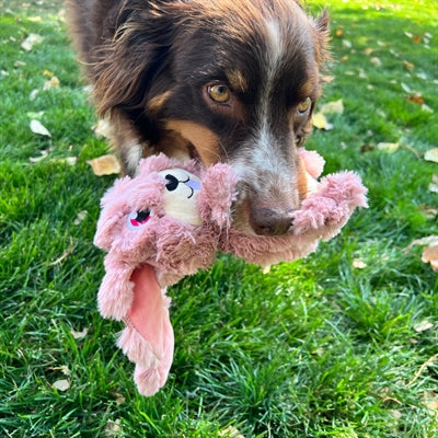 Load image into Gallery viewer, Kong Scrumplez bunny pluche met piep roze