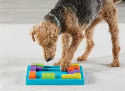Load image into Gallery viewer, Brightkins bark brain game treat puzzle
