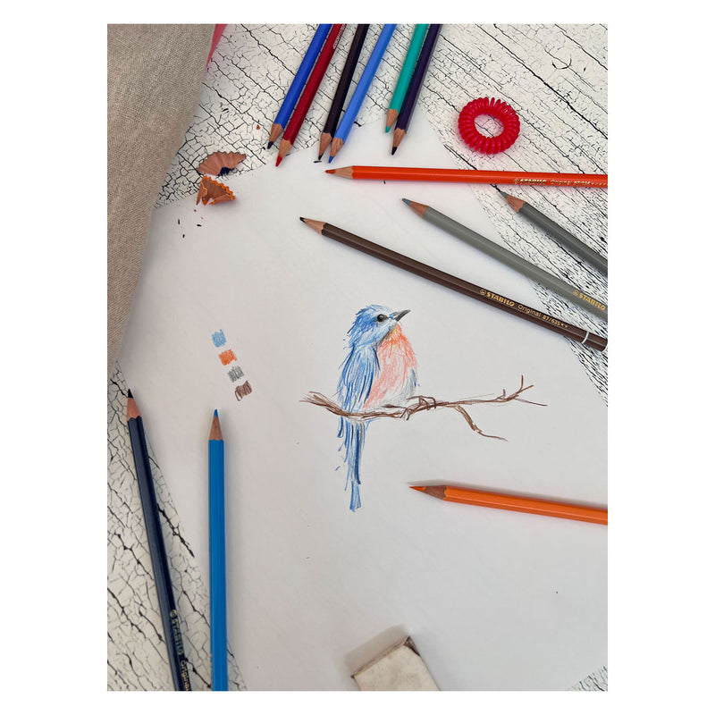 Load image into Gallery viewer, STABILO Original Kleurpotloden Metalen Doos, 38st.