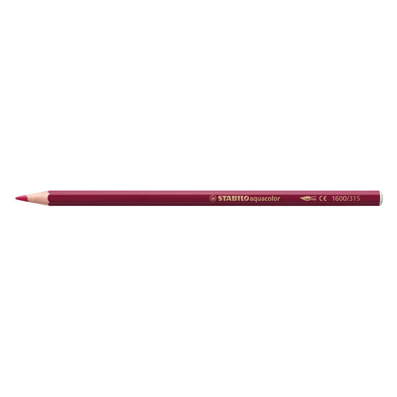 Afbeelding laden in galerijviewer, Stabilo aquacolor - premium aquarel kleurpotloden - arty - etui met 36 kleuren