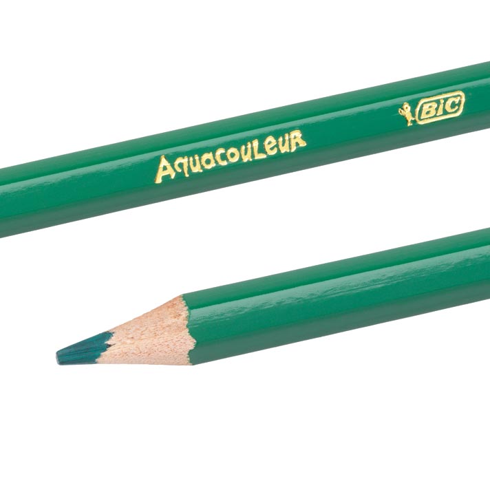 Load image into Gallery viewer, Bic kids aquacouleur, 24st.