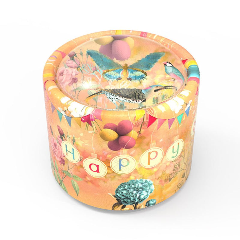 Afbeelding laden in galerijviewer, Brilly005 muziekje: happy birtday. 14+