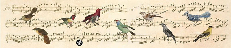 ギャラリービューアに画像をロードする, Rondo77 muziekje: notes (ave maria).