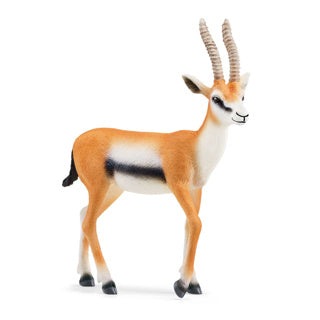 Chargez l'image dans la visionneuse de la galerie, Schleich 14861 thomson gazelle | 5 stuks