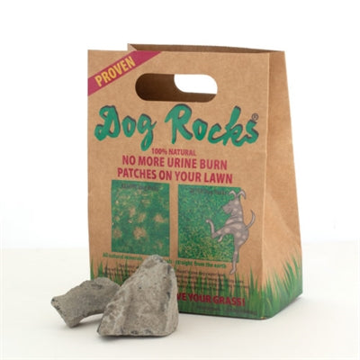 Load image into Gallery viewer, Dog rocks