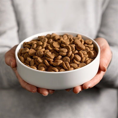 Load image into Gallery viewer, Smolke senior medium brokken