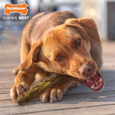 Load image into Gallery viewer, Nylabone Extreme chew braided bull stick rundsmaak