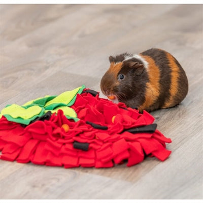 Afbeelding laden in galerijviewer, Trixie snuffelmat aardbei rood