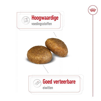 Load image into Gallery viewer, Royal canin maxi adult
