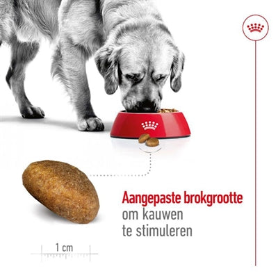 Load image into Gallery viewer, Royal canin maxi adult