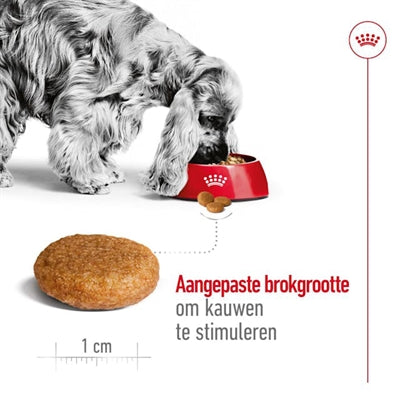 Load image into Gallery viewer, Royal canin medium adult
