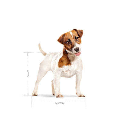 Load image into Gallery viewer, Royal canin Canin mini adult