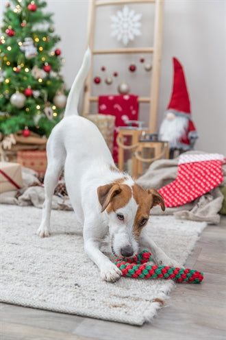 Load image into Gallery viewer, Trixie Xmas flostouw candy cane