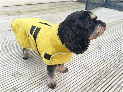 Load image into Gallery viewer, Happy pet hondenjas go walk quilted classic mosterd