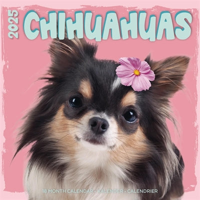 Load image into Gallery viewer, kalender chihuahua studio 2025