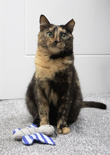 Load image into Gallery viewer, Battersea vlinder en libelle duo blauw