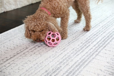 Load image into Gallery viewer, Jw hol-ee roller trend-ee roze