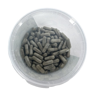 Load image into Gallery viewer, Dierendrogist resorptie van vruchtjes foetale resorptie