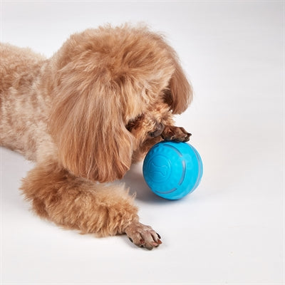 Load image into Gallery viewer, Fofos rol bal oplaadbaar voor honden